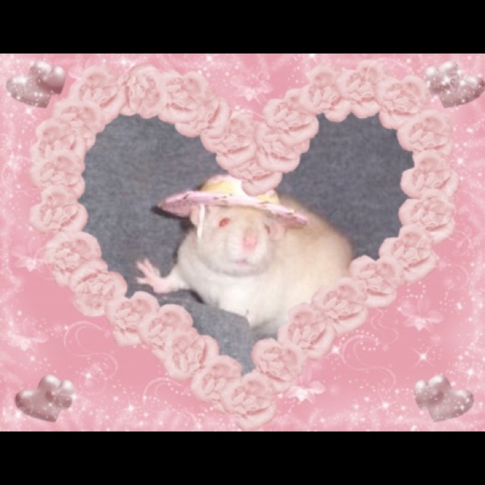 Hi, I’m Michelle❣️